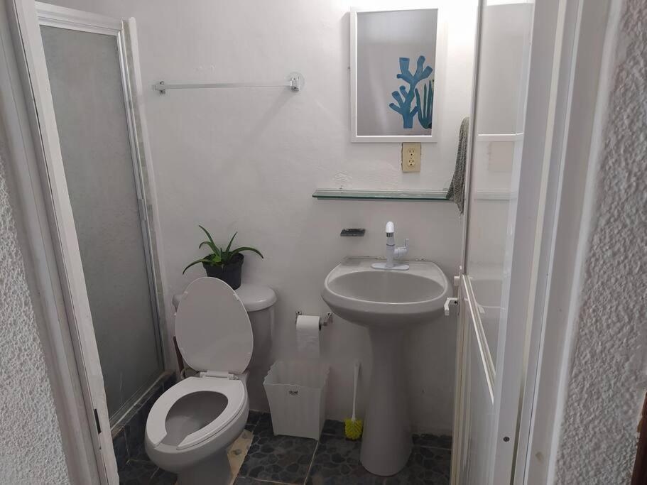 Arrecife Apartment Cancun Ngoại thất bức ảnh